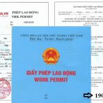 Kinh nghiệm xin giấy phép lao động cho người nước ngoài uy tín